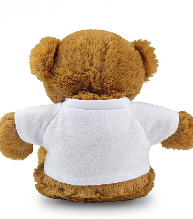 RPET Teddy Bear - Deni