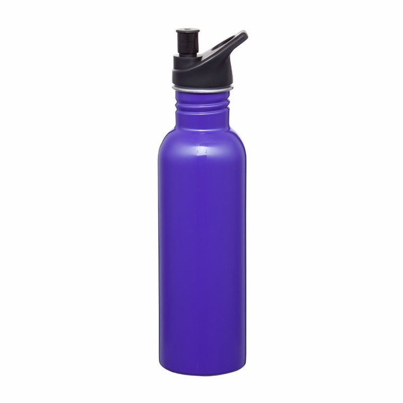 Carnival 750ml Water Bottle