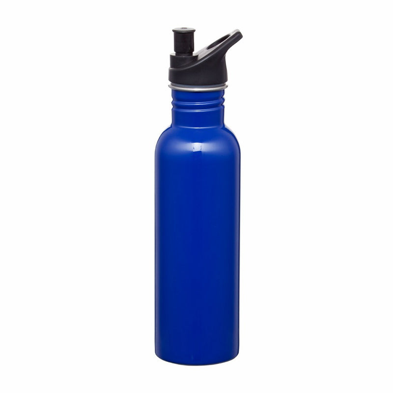 Carnival 750ml Water Bottle