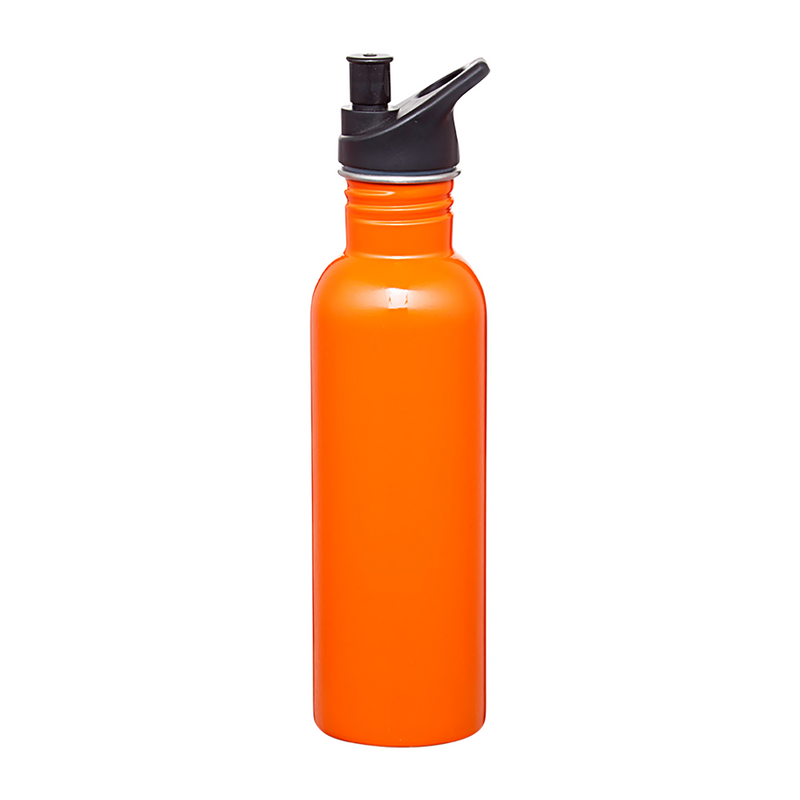 Carnival 750ml Water Bottle