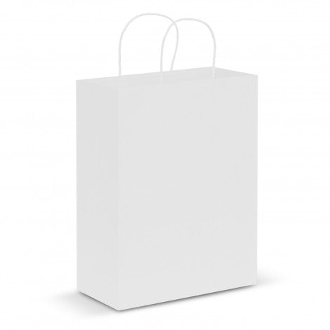 Paper Carry Bag - Large