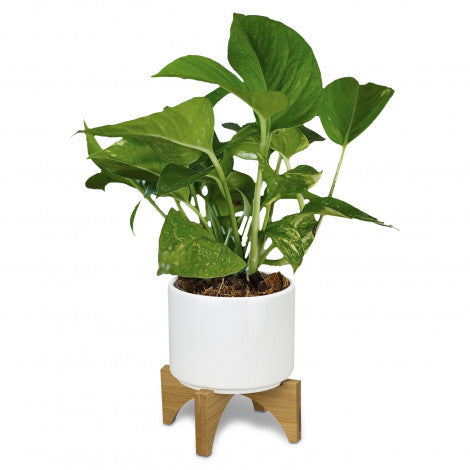 Planter with Bamboo Base